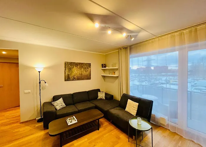 Spacious & Modern 1 Bedroom Near Lauluvaeljak- Appartement