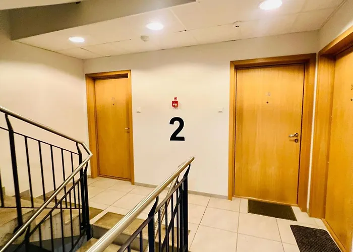 Spacious & Modern 1 Bedroom Near Lauluvaeljak- Apartment *